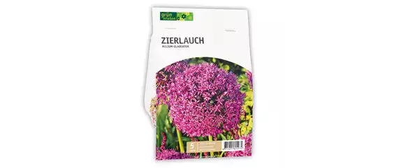 AUS DER KNOLLE KOMMT DAS TOLLE! AUS DER KNOLLE KOMMT DAS TOLLE!