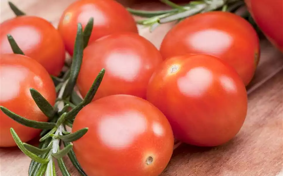Nutzgarten - Leckereien aus dem Garten! Nutzgarten - Leckereien aus dem Garten!