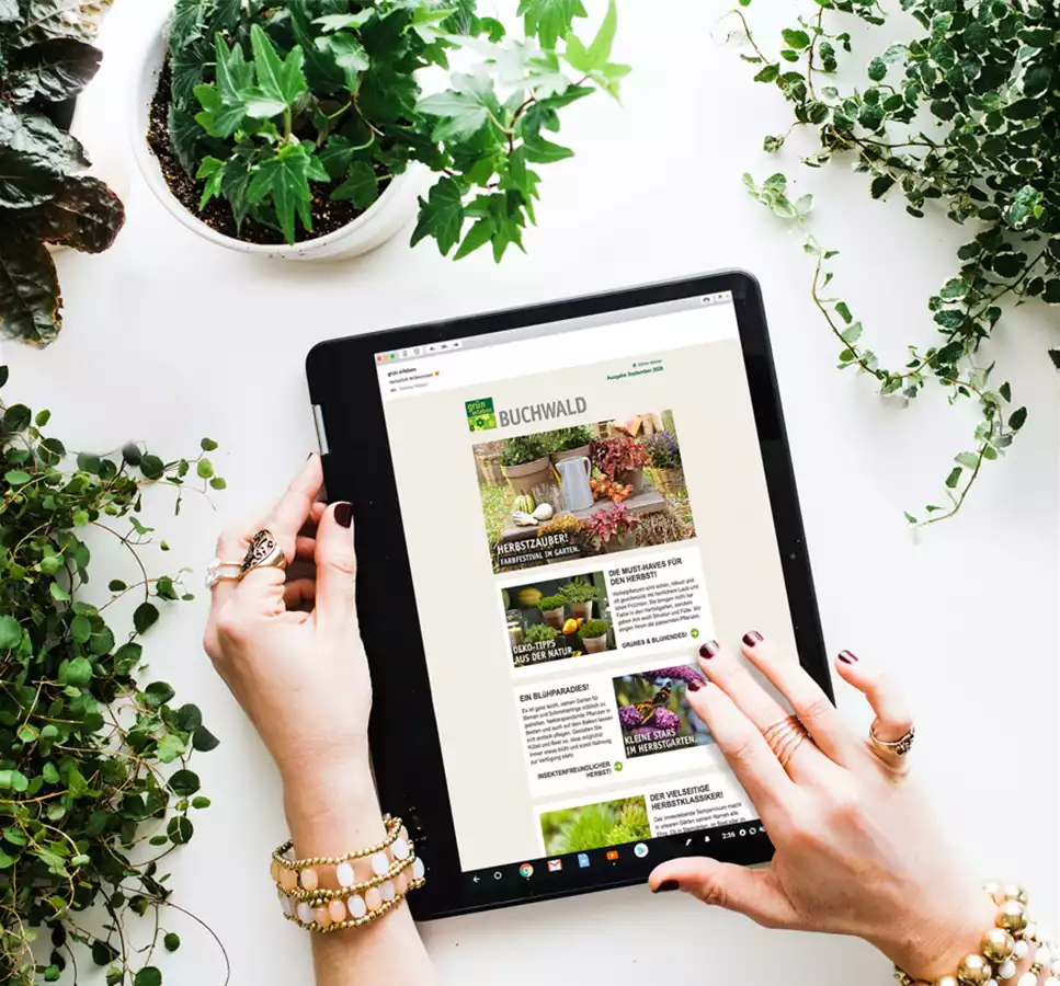 Jetzt anmelden! - NEWSLETTER Jetzt anmelden! - NEWSLETTER