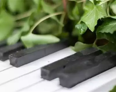 KULTUR IM GLASHAUS KULTUR IM GLASHAUS