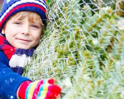 Weihnachtsbaum-Verkauf