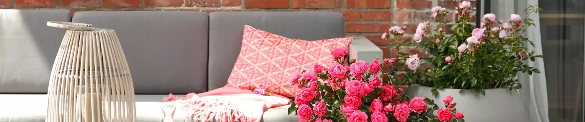 DIE ROSE!