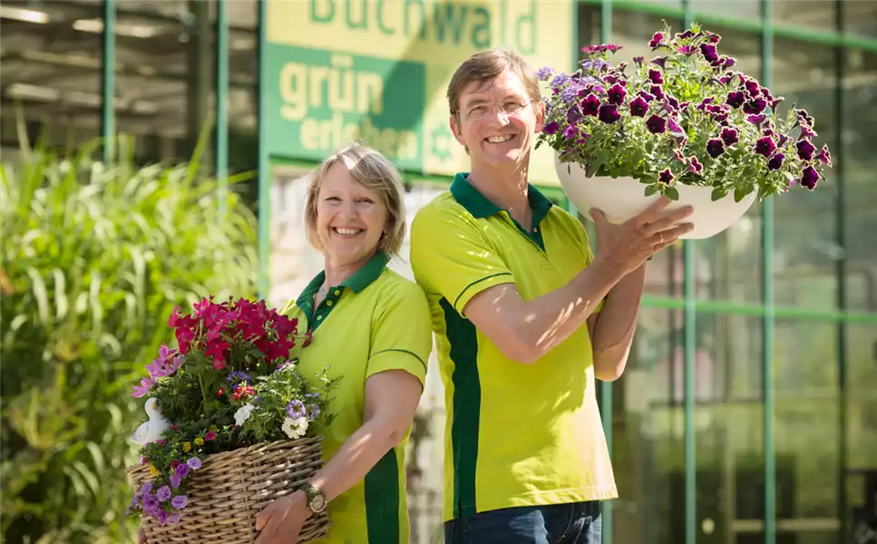 SORTIMENT - Für die schönste Jahreszeit! SORTIMENT - Für die schönste Jahreszeit!
