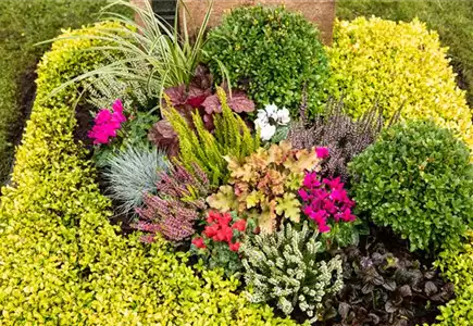 Grabbepflanzung Grabbepflanzung