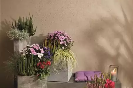 EIN KUNTERBUNTER HERBST! EIN KUNTERBUNTER HERBST!