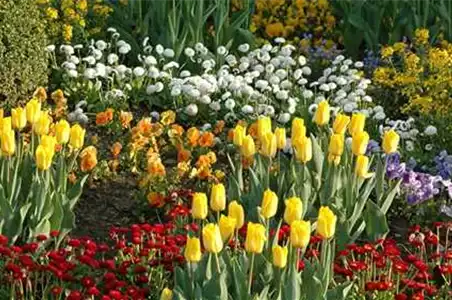 Eine Tüte voll Frühling Eine Tüte voll Frühling