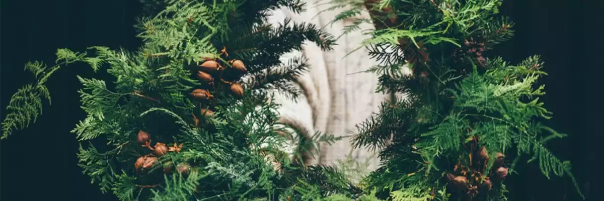 ADVENT, ADVENT – EIN KERZLEIN BRENNT!