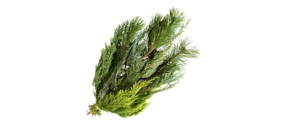 ADVENT, ADVENT – EIN KERZLEIN BRENNT! ADVENT, ADVENT – EIN KERZLEIN BRENNT!