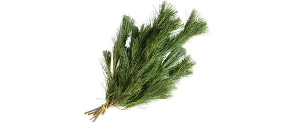 ADVENT, ADVENT – EIN KERZLEIN BRENNT! ADVENT, ADVENT – EIN KERZLEIN BRENNT!