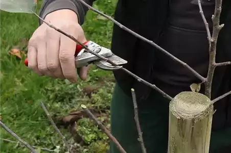OKTOBER - JETZT GIBT ES NOCH MAL VIEL ZU TUN! OKTOBER - JETZT GIBT ES NOCH MAL VIEL ZU TUN!