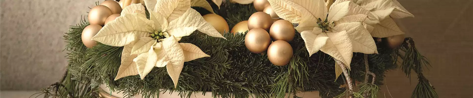 WILLKOMMEN IM FESTZAUBER!