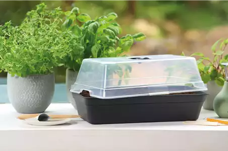 PLATZ DA AUF DER FENSTERBANK!