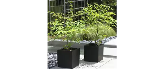 MODERNE ELEGANZ IM GARTEN!