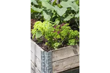 DAS DIY-HOCHBEET! DAS DIY-HOCHBEET!