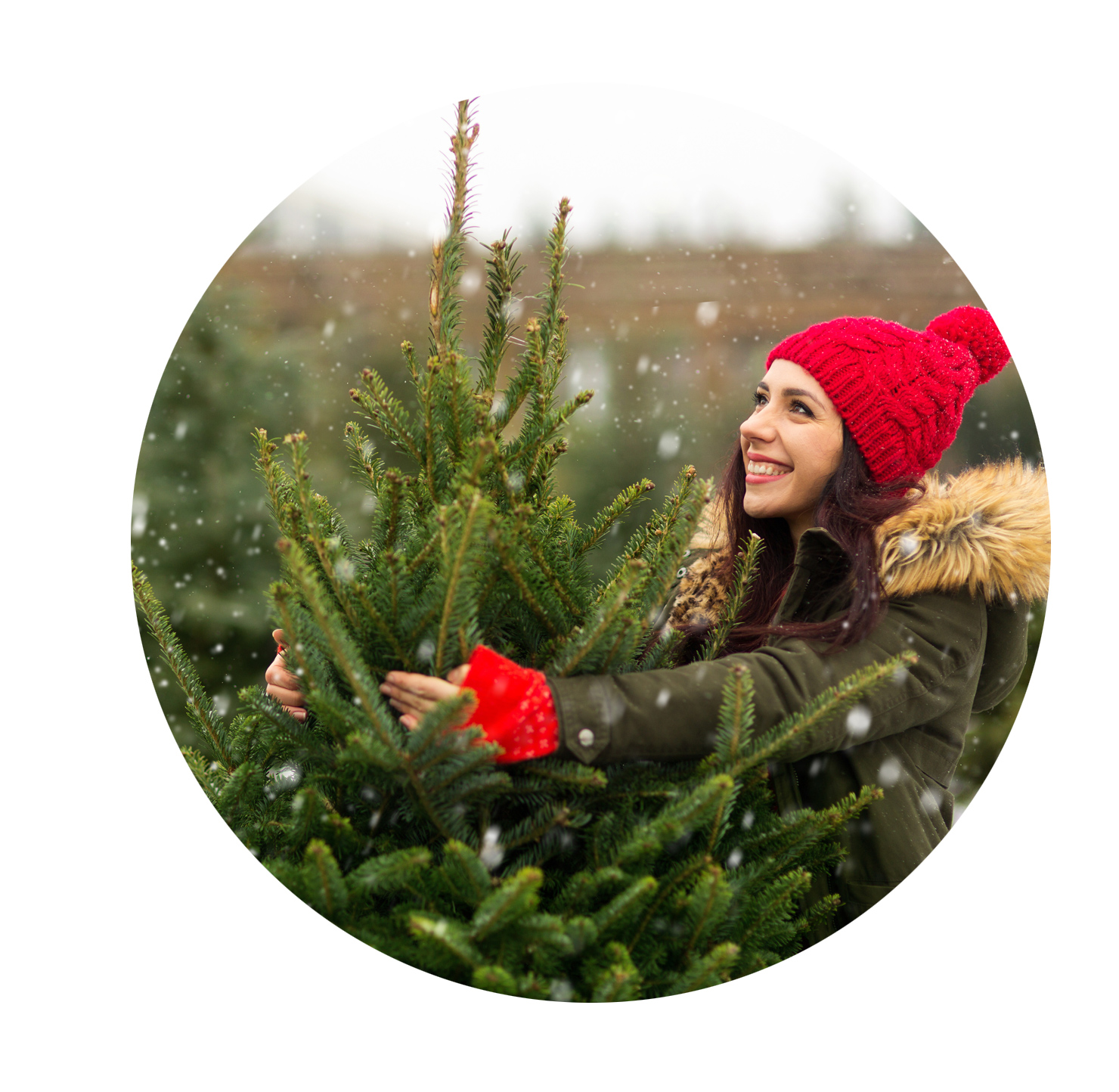 Weihnachtsbaum.jpg