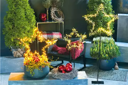 LICHTBLICKE IM WINTER-GARTEN! LICHTBLICKE IM WINTER-GARTEN!