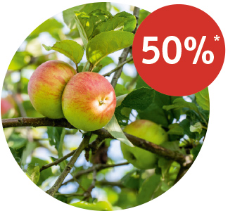 Angebot_Baumschule-Obstgehoelze.jpg
